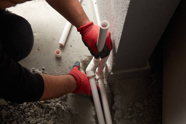 Best Clogged Drain Plumber  in Winnemucca, NV