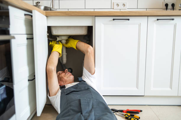 Best Same-Day Plumbing Service  in Winnemucca, NV